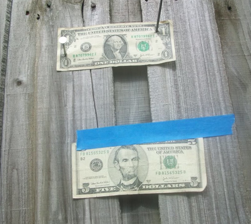 Post-Your-Favorite-NoteS-In-Your-Collection!