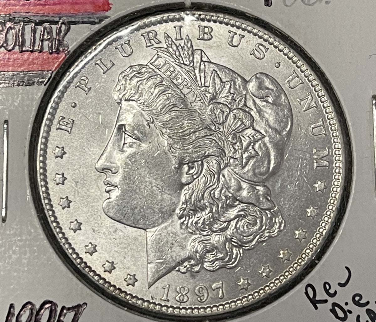 Are-These-Morgans-Worth-Grading?-1891-And-1897?