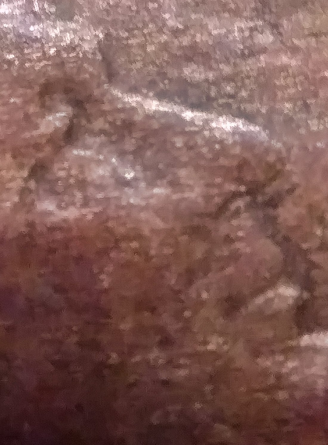 1919--Crying,-2-Faced-Lincoln-Wheat-Penny!?