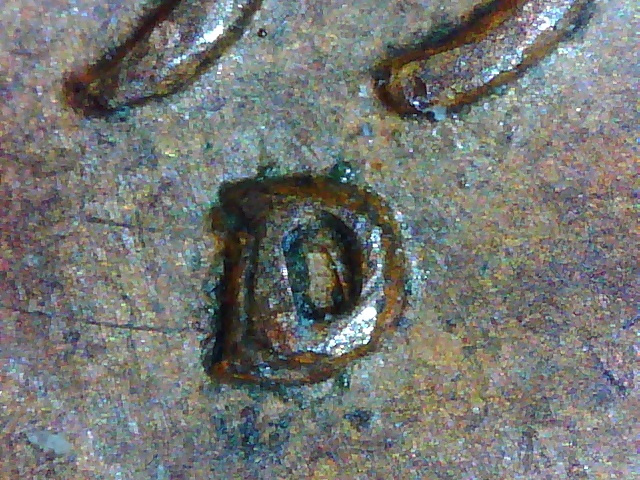 1951-D-1MM-001-Lincoln-Wheat-Cent