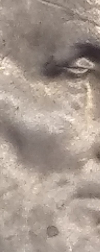 2020-D-Penny-Error/-Closed-Eye/-Double-Eyelid?