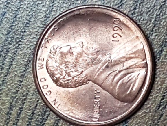 My-Finds-Of-The-Week