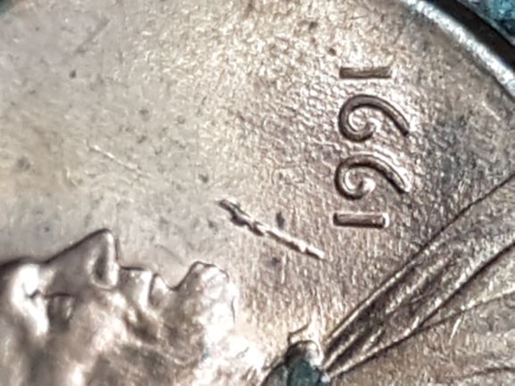 My-Finds-Of-The-Week