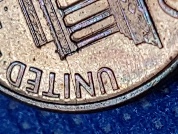 My-Finds-Of-The-Week