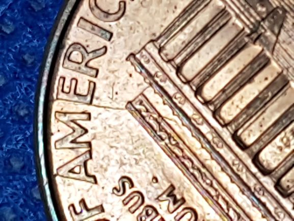 My-Finds-Of-The-Week