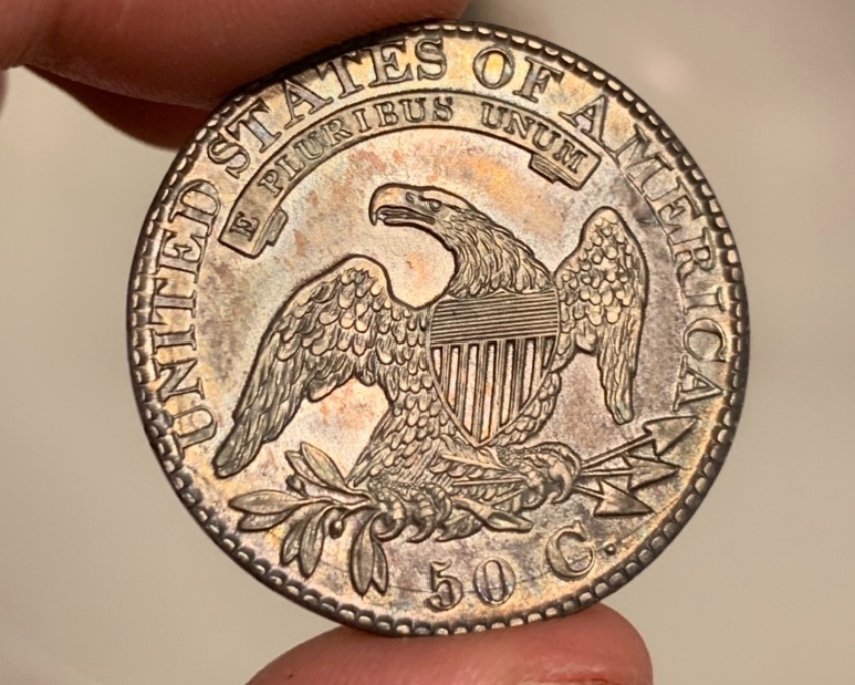 True-Views-Finally-Posted!-You-Vs-PCGS-1826-50c
