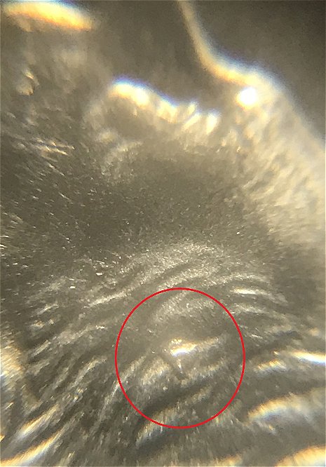 2018-P-Dime:-Clad-Plating-Error-On-Rim-+-Die-Chip