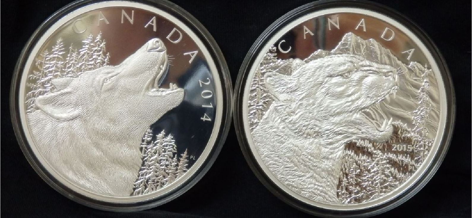 Post-Your-Coins-Representing-The-Animal-Kingdom.