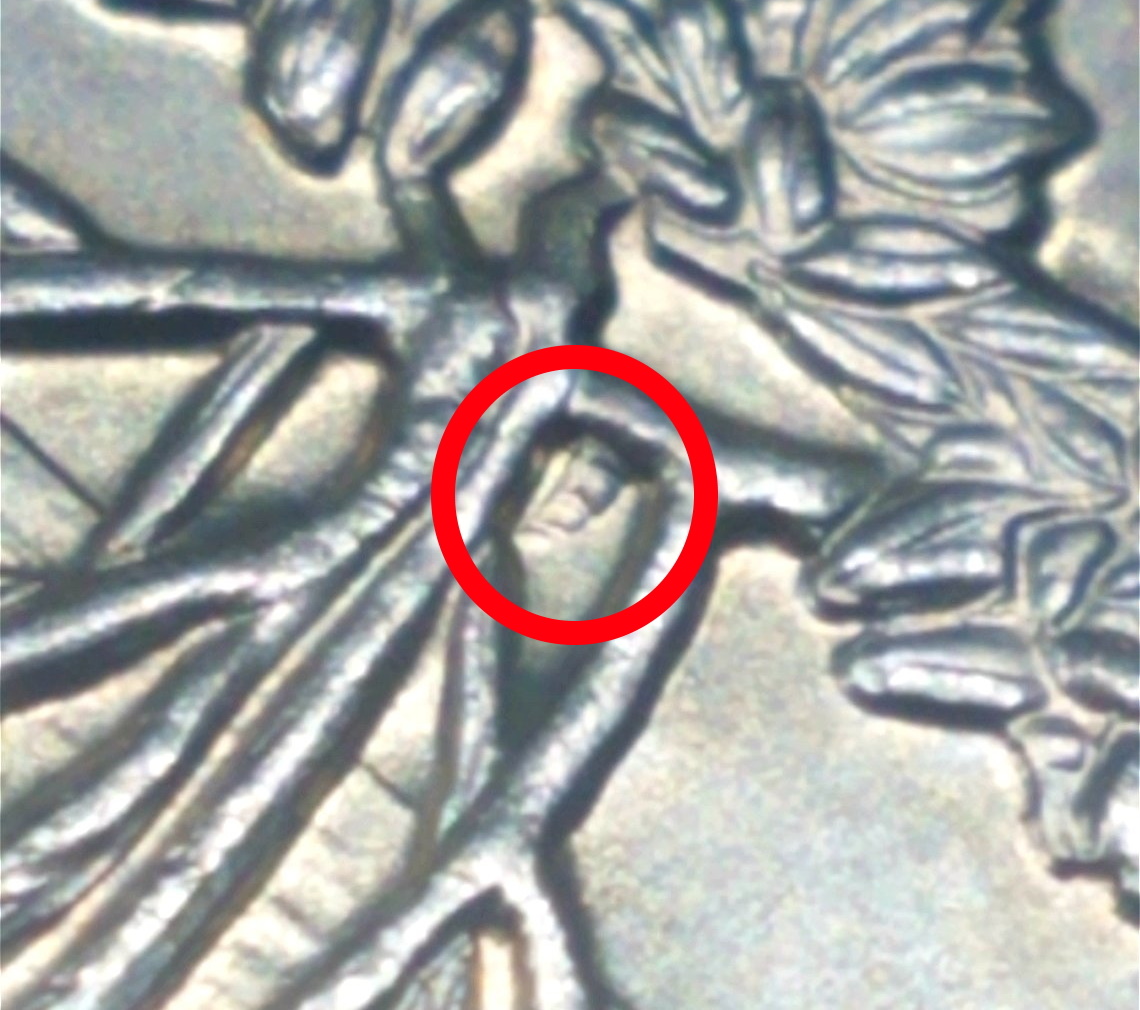 2020-P-Salt-River-Bay-Quarter-Extra-Partial-Branch-On-Reverse?
