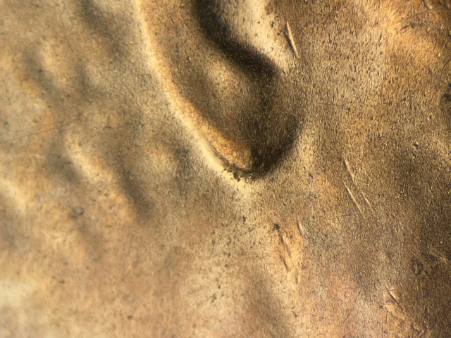 2021-D-Penny-Doubled-Ear?
