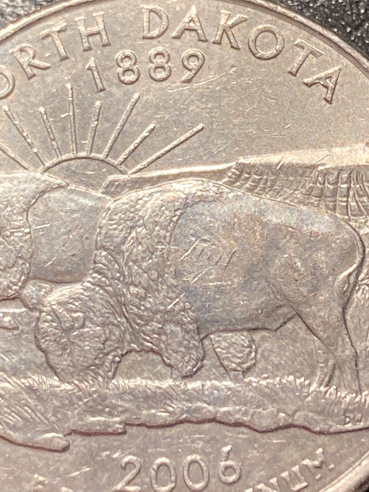 2006-North-Dakota-Q-Error-Or-Damage--Piece-Of-Mountain-In-Buffalos-Back