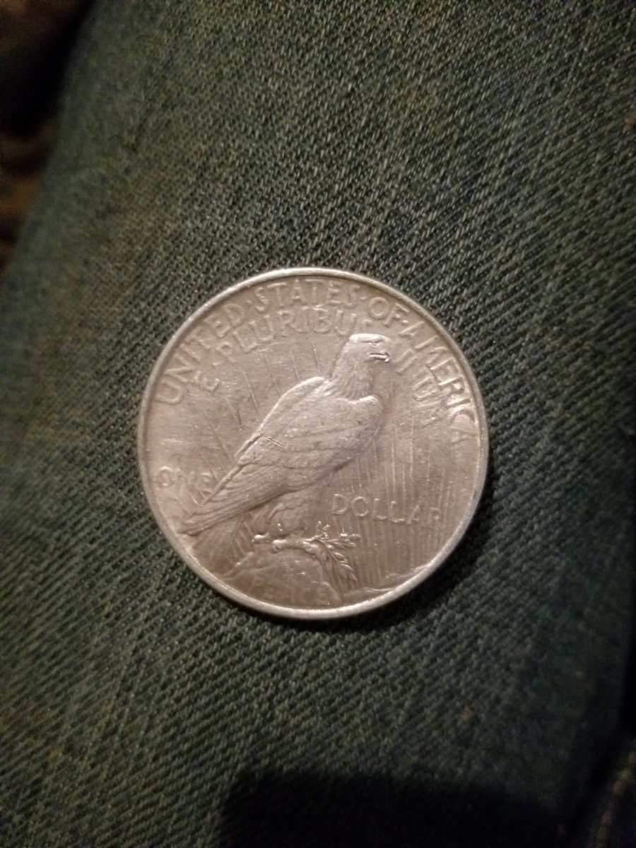Silver-Dollars-I-Believe?