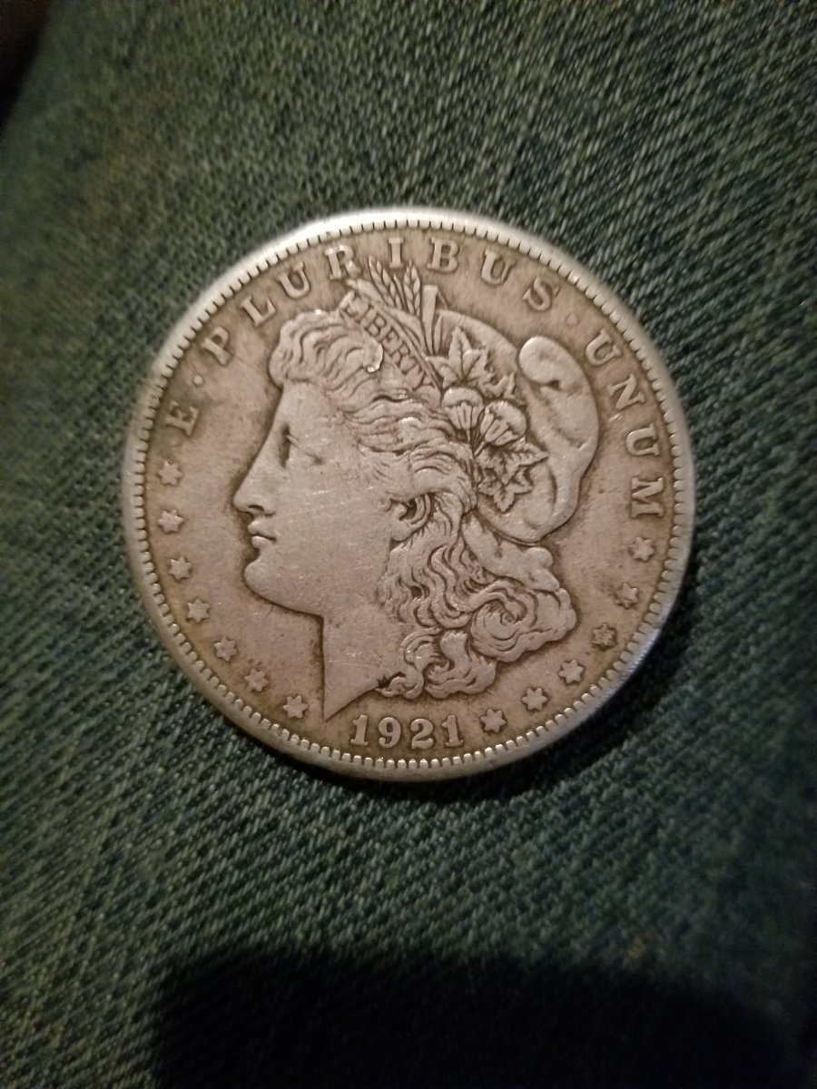 Silver-Dollars-I-Believe?