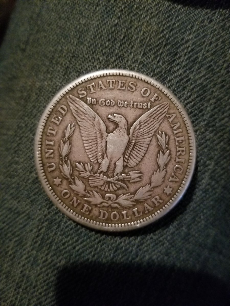 Silver-Dollars-I-Believe?
