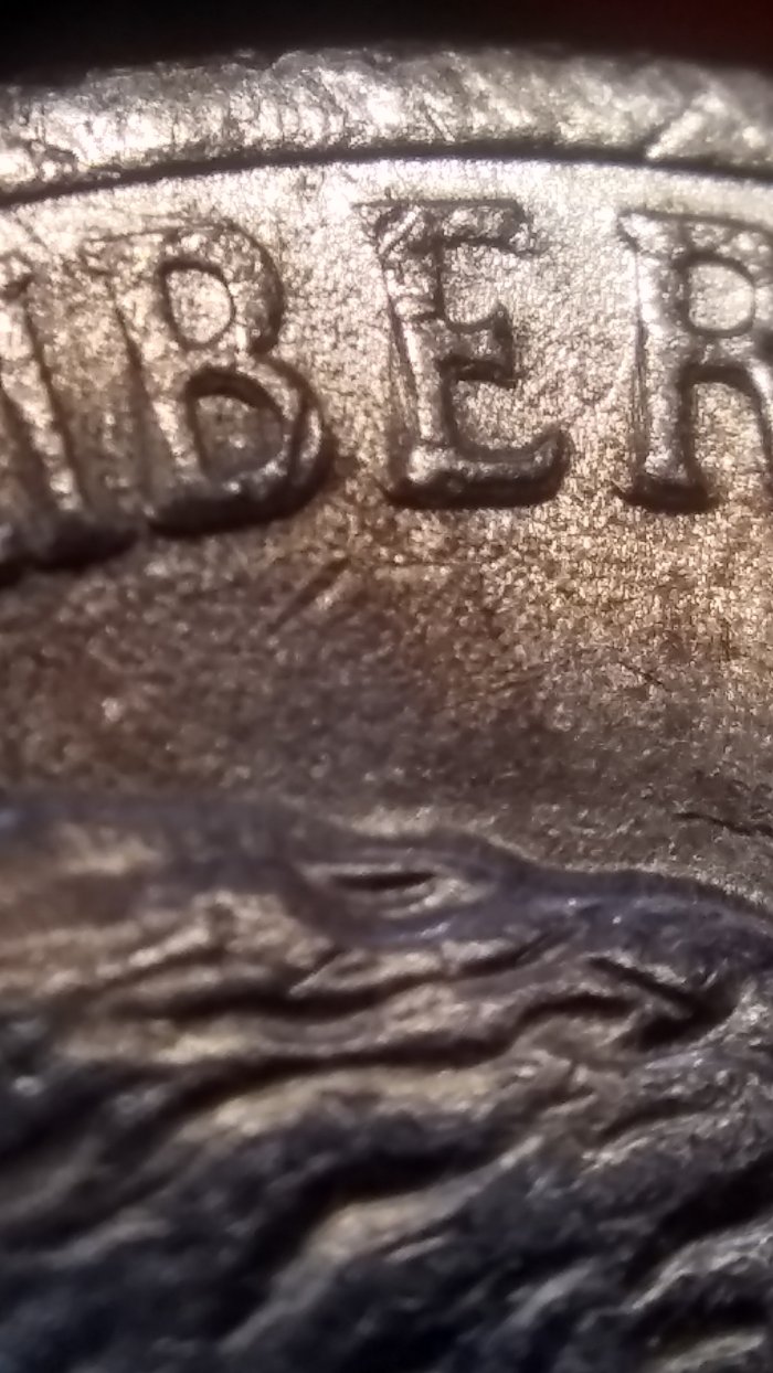 1999-P-Nickel.-DD-And-Die-Cracks-And-Lost-His-Head-Error?