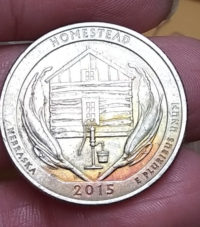 2015-D-Homestead-Quarter,-Lamination-Error?