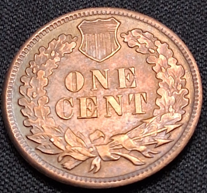 Found-An-1864-Indian-Head-Cent-L-On-The-Ribbon-Cameo-Uncirculated