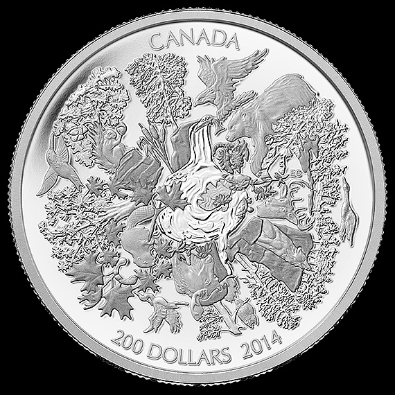 Opinions-On-Future-Of-$20-For-$20-Series