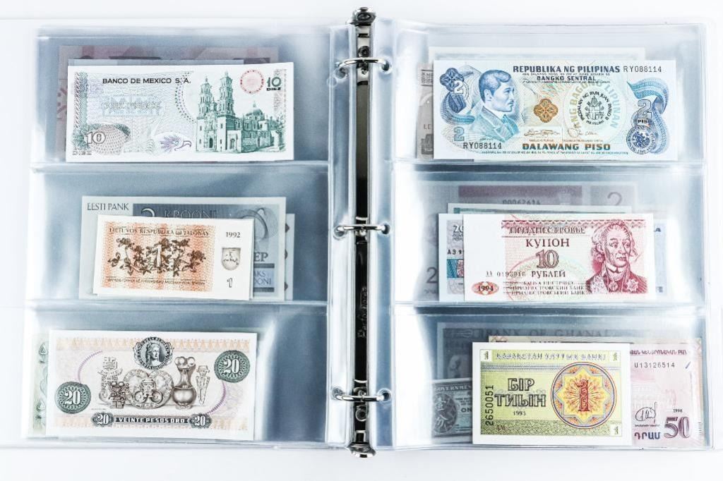 Just-Bought-This-Collection
