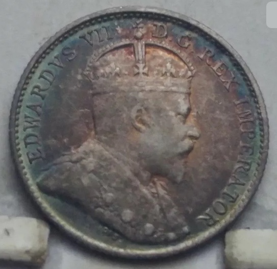 Toned-1903-Newfoundland-5-Cent.-Grade-And-Thoughts-Please?