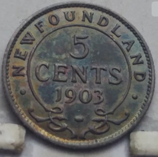 Toned-1903-Newfoundland-5-Cent.-Grade-And-Thoughts-Please?