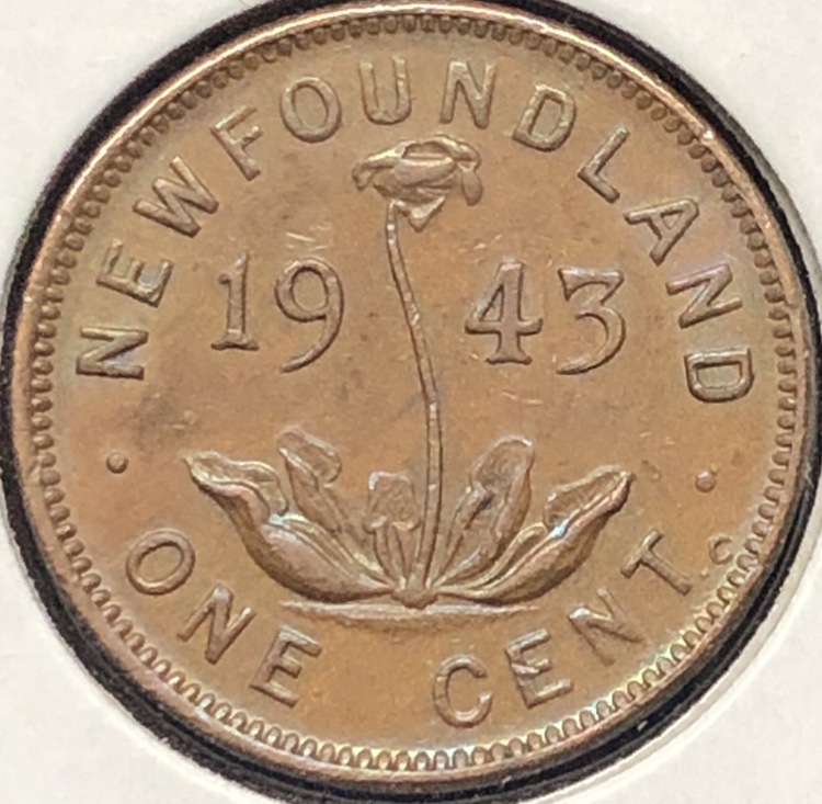 Fabulous-1943-Newfoundland-One-Cent,-Grading-&-Discussion