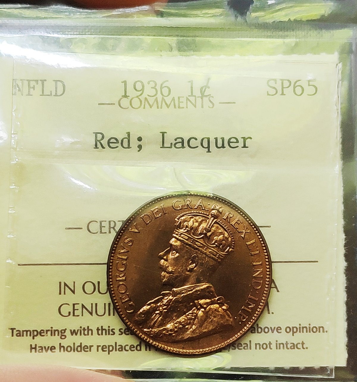First-1936-NFLD-SP-Ever-Graded-By-ICCS