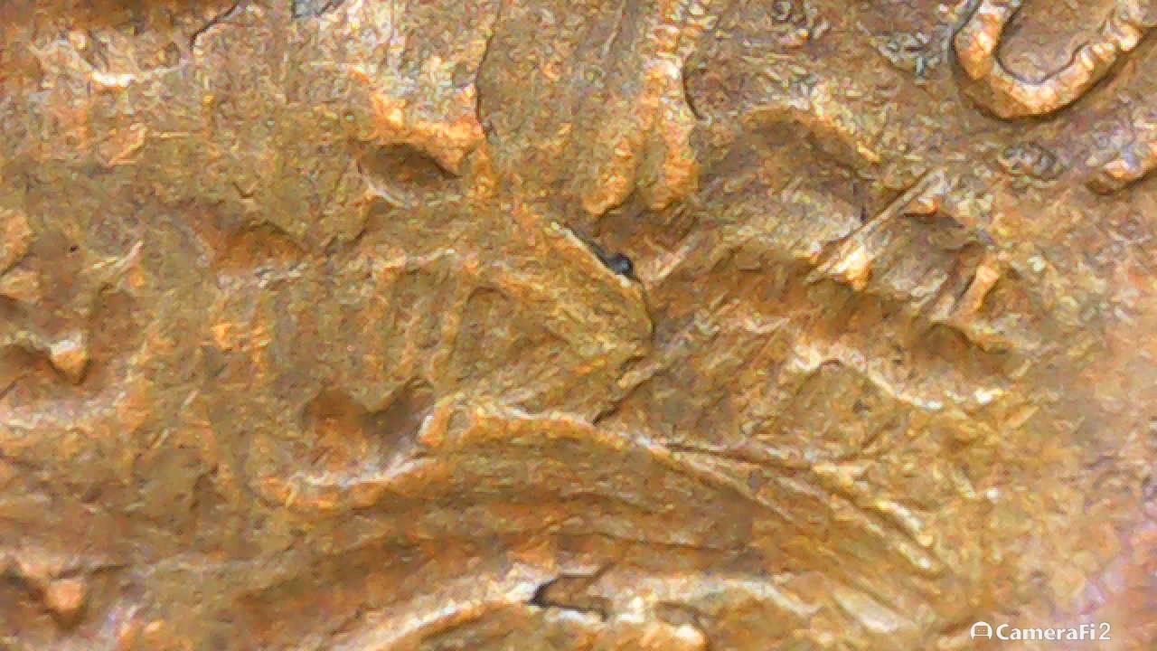 19?-Wheat-Penny-Need-Help-Identifying-Type-Error