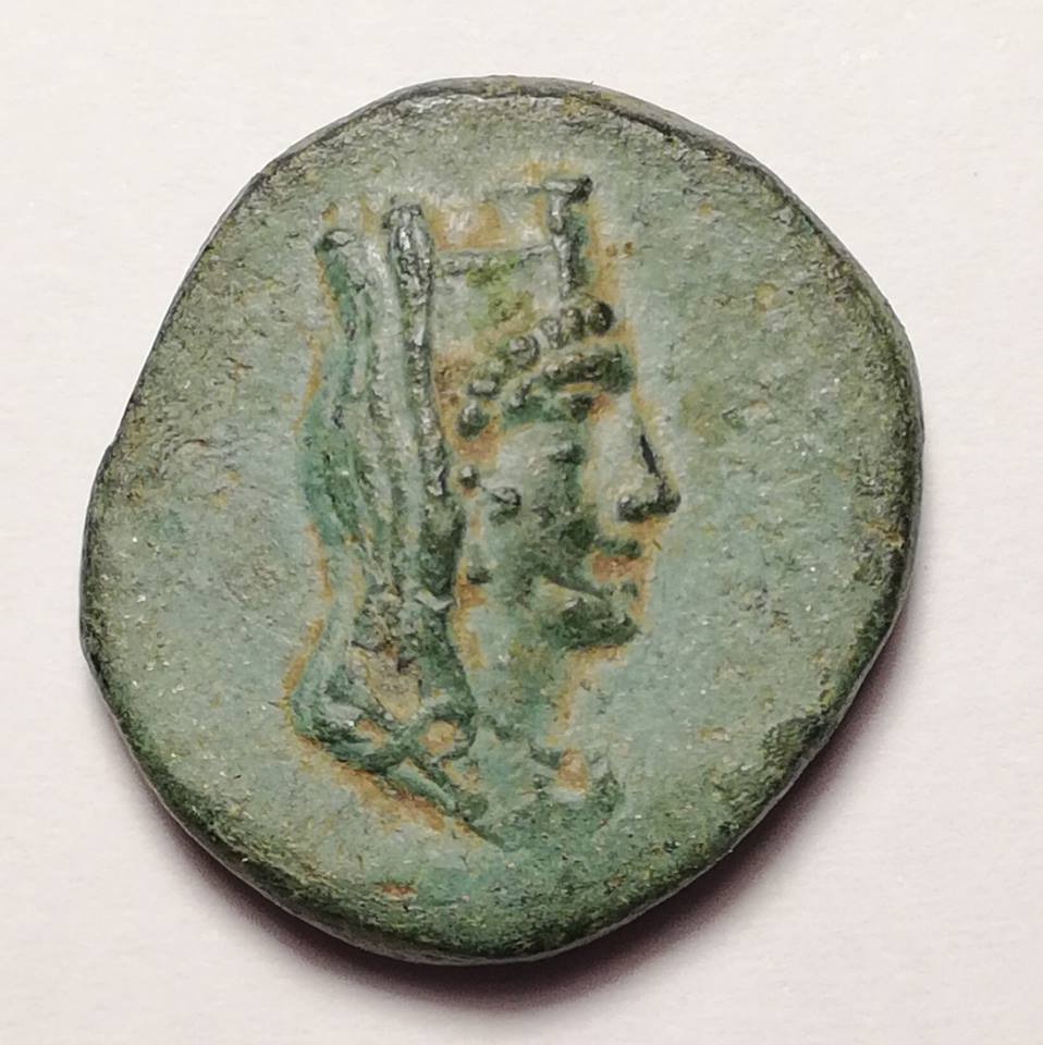 ID-Needed-On-Another-Ancient
