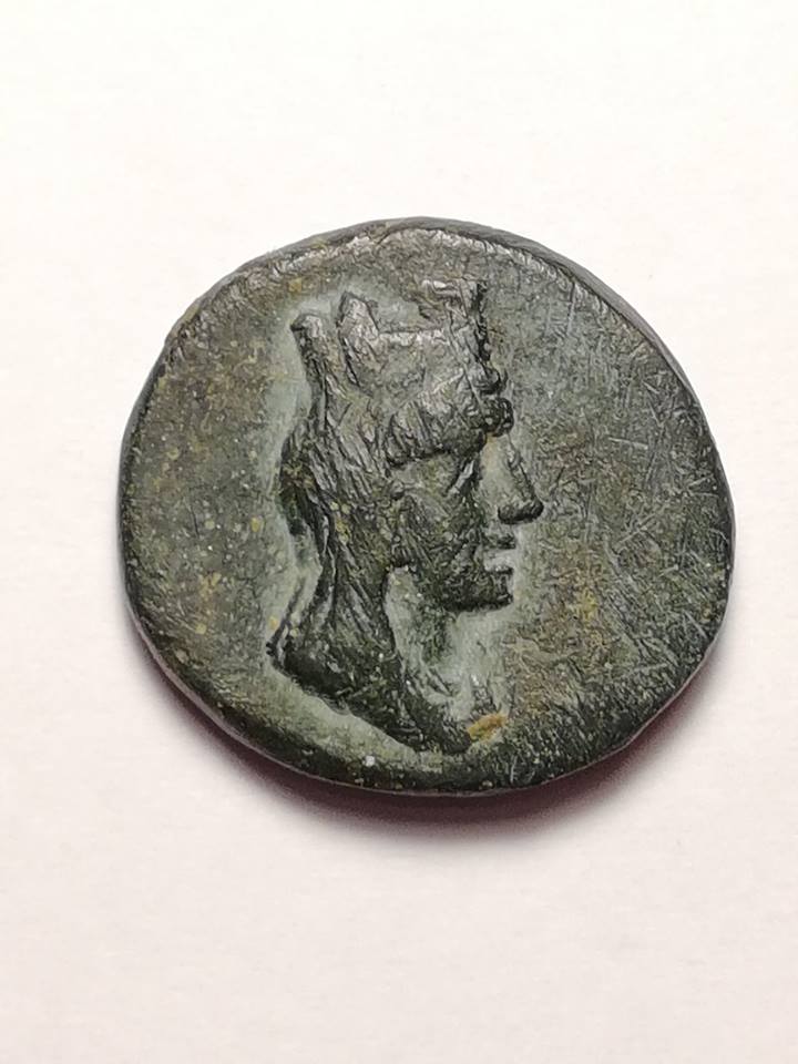 ID-Needed-On-Another-Ancient