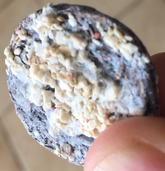 Authentic-Pirate-Coin?