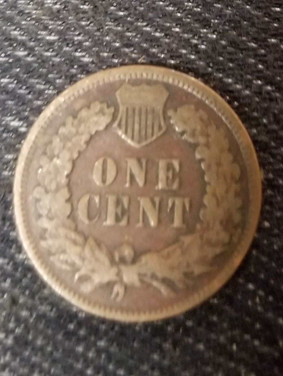 1901-Indian-Head-Cent-For-Grading-Thanks