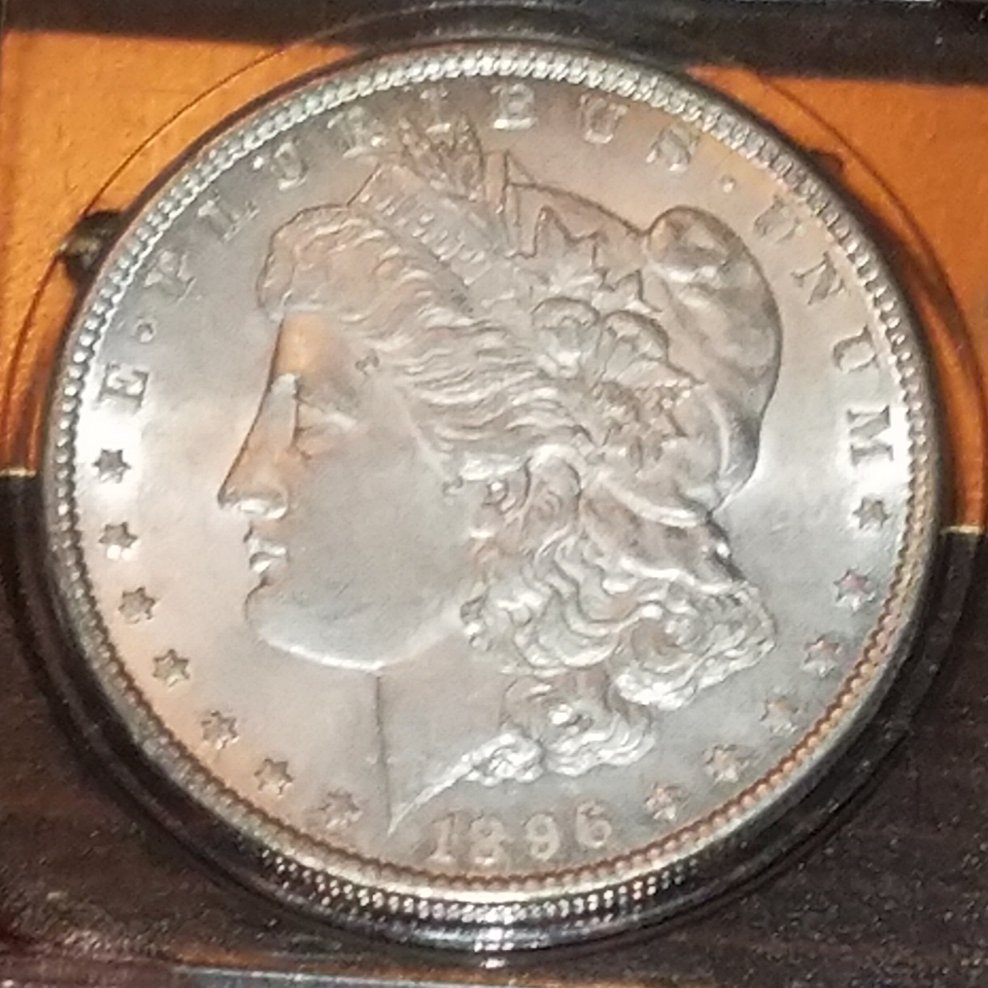1896-Morgan-Silver-Dollar-For-Grading