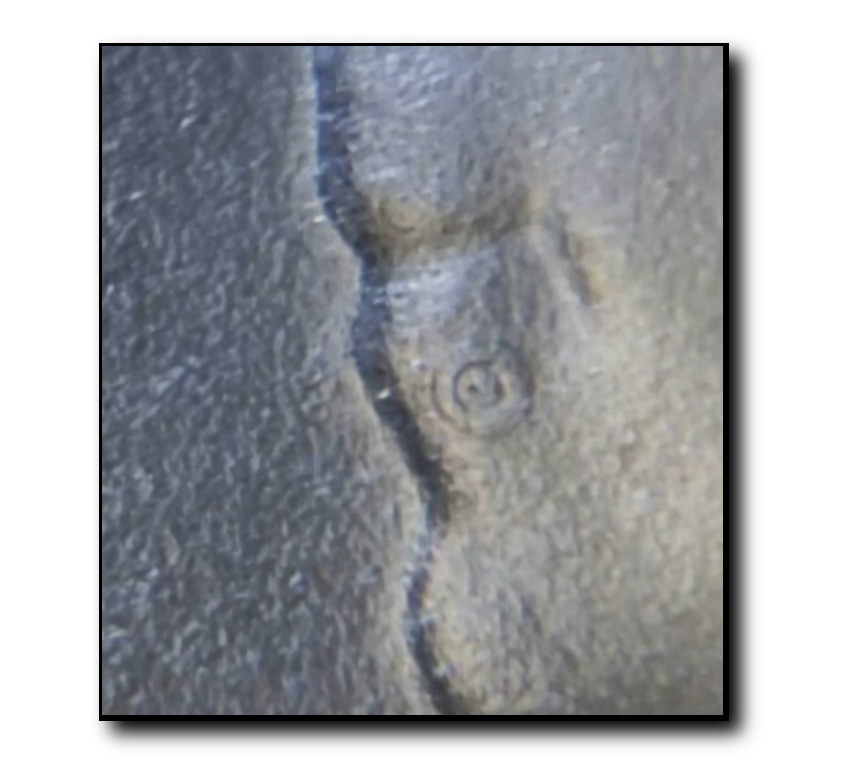 2019-W-Sam-Quarter-Circle-Die-Mark-On-Lip