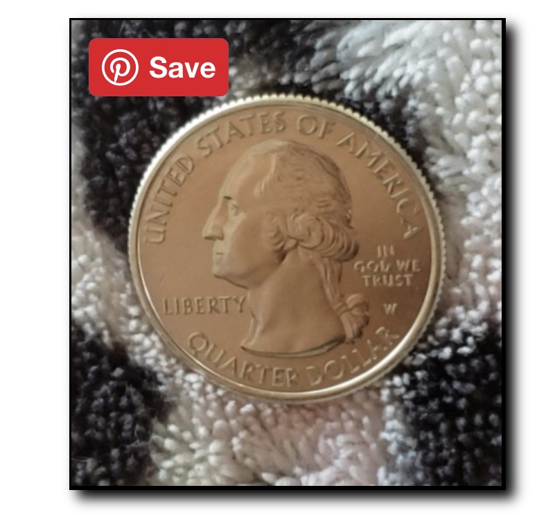 2019-W-Sam-Quarter-Circle-Die-Mark-On-Lip