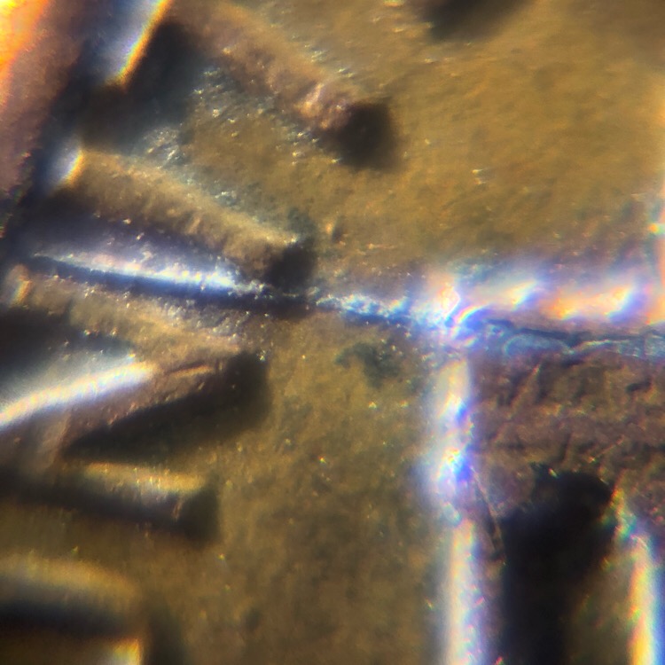 1983-Lincoln-Penny-Die-Crack