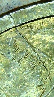 2000-P-Sagawagea--Die-Crack,-Doubling?