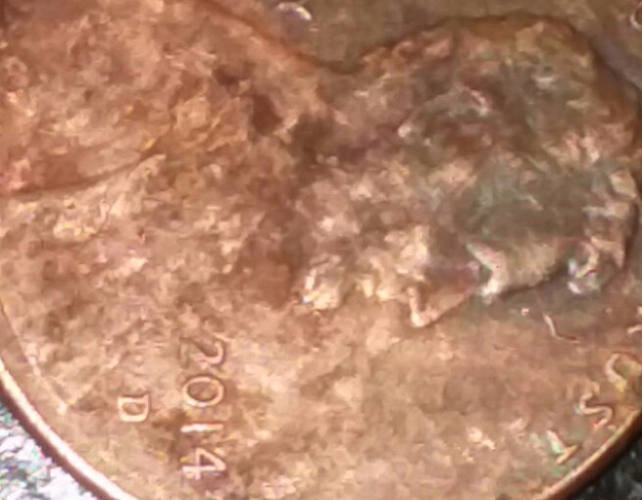 Ultra-Rare-2014-D-Mule-Cent-Found-Coin-Roll-Hunting.