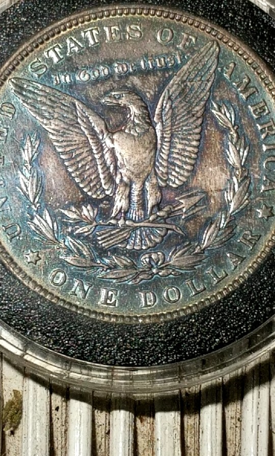 1887-Morgan-Recovered-From-A-Jewelry-Bezel