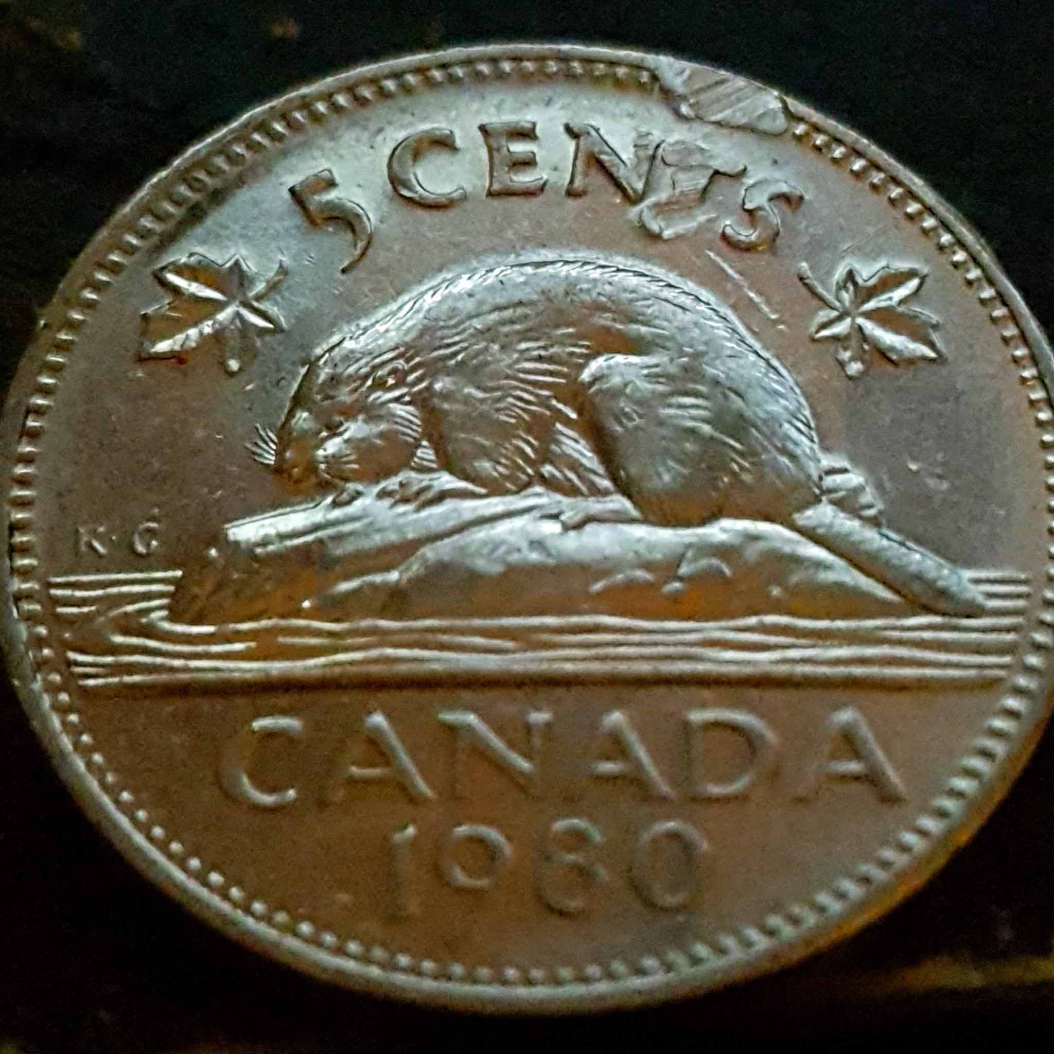 1980-Nickel-Cud-/-Struck-Through?-Or-PMD?
