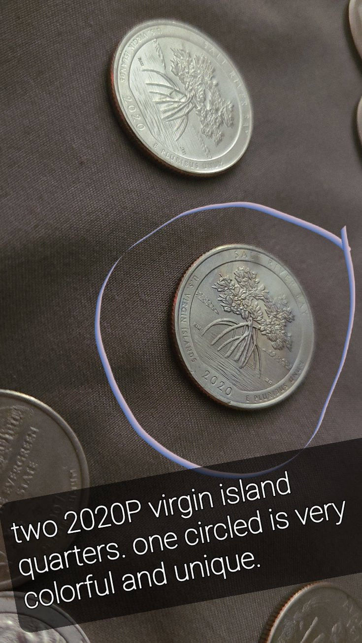 2020-U.s-Virgin-Islands-Possible-Quarter-Error