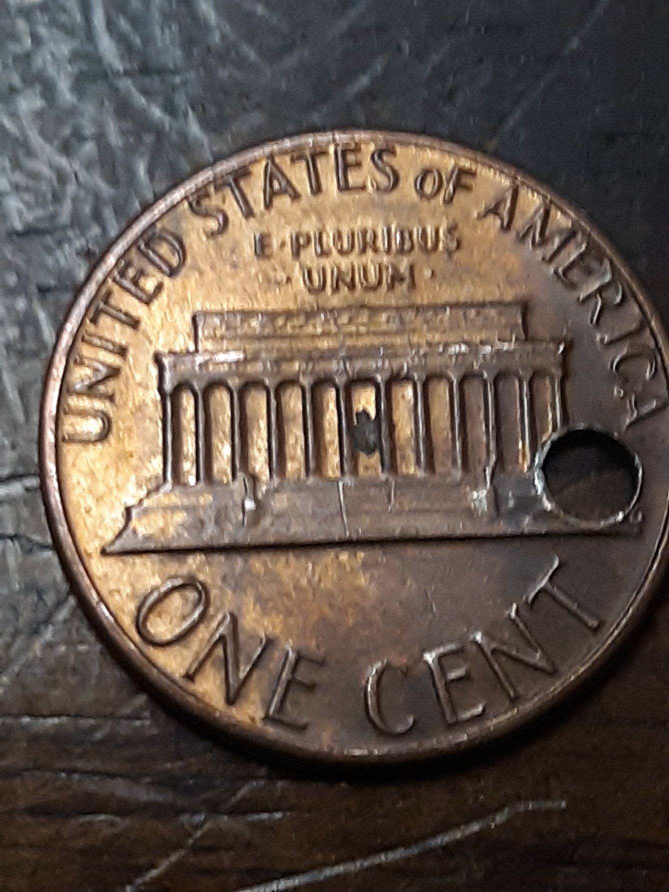 Did-The-Government-Do-This?