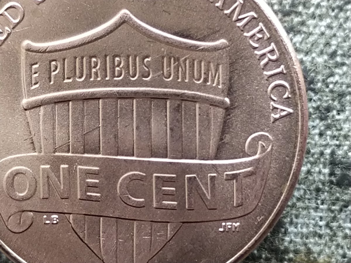 Feeder-Finger-Damage:-What-Does-It-Look-Like?