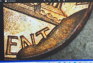 Beautiful-1988-Ms+-Penny-With-Cud-!