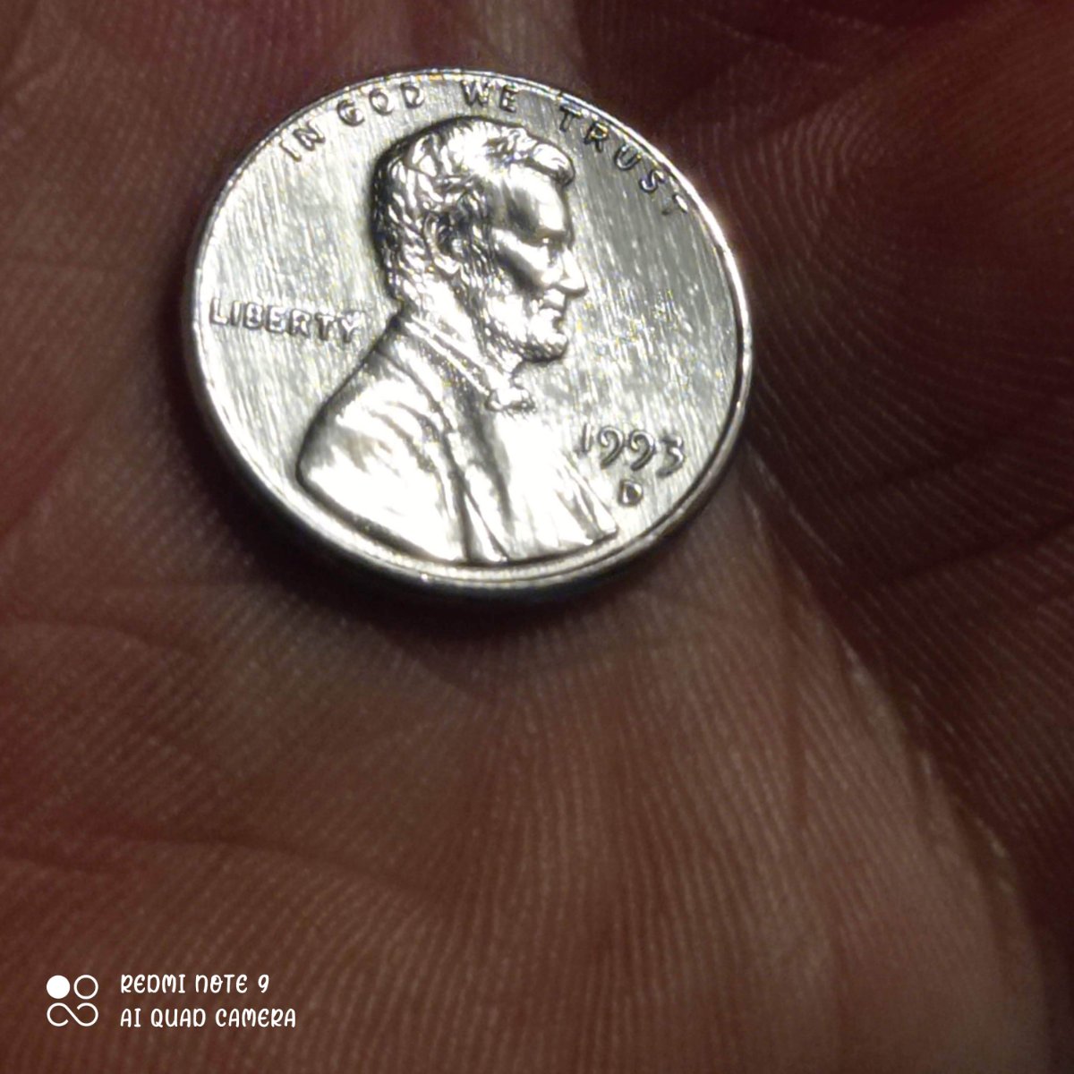 Think-I-Have-A-Unplated-Penny