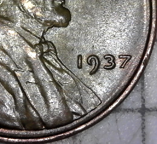 Cleaned-Or-Restored?