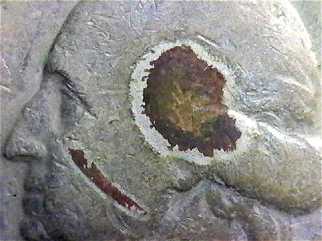 1964-D-Nickel-What-Is-That-On-His-Face?