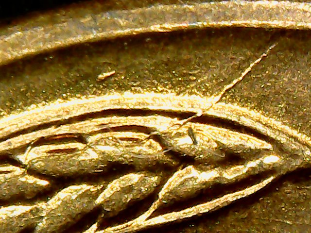 1955-S-Lincoln-Wheat-RPM-002?-Die-Crack?-Possible-DDO?