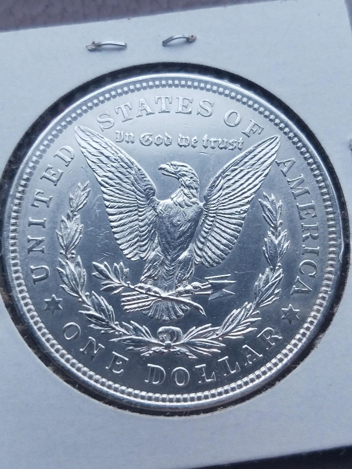 1921-Morgan-No-Mint-Mark.-Wondering-If-It-Is-Worth-Grading?-I'm-New-Here.