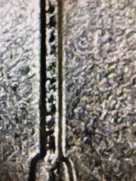 2019-West-Point-Memorial-Park-Grid-Pattern-Inside-Die-Break?-Strike-Through?